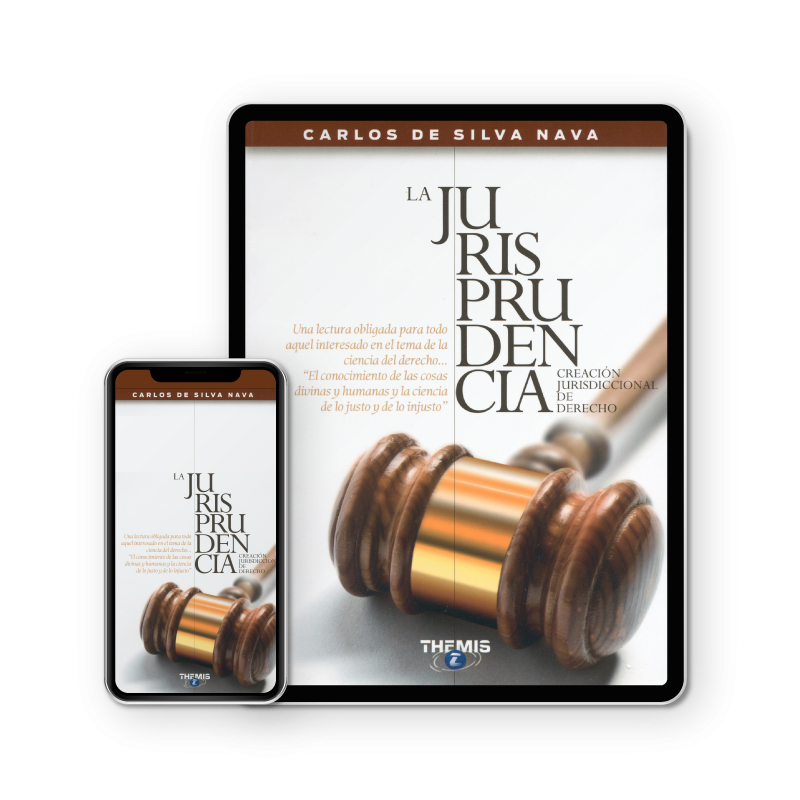 La Jurisprudencia versión eBook