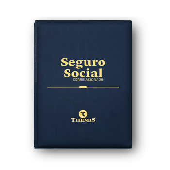 copia de copy of Seguro Social Correlacionado 2022