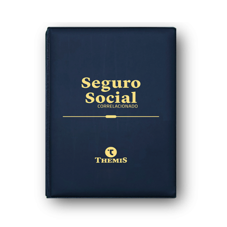 copia de copy of Seguro Social Correlacionado 2022