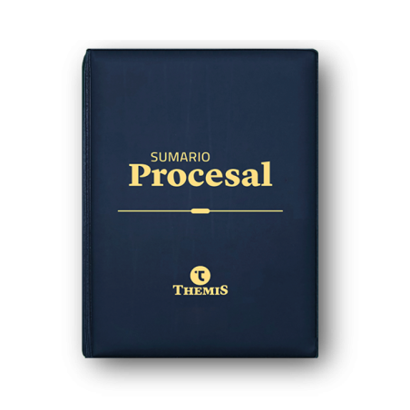 copia de copy of Sumario Procesal 2022