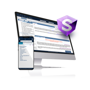 copia de Sisthemis Auditoría Online
